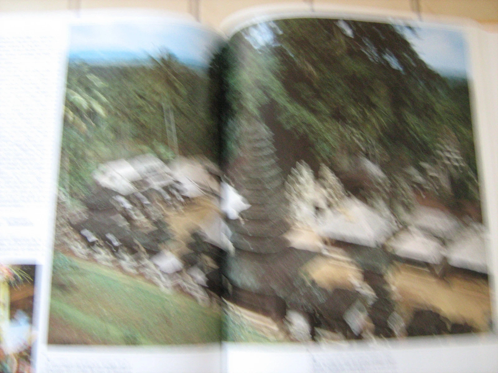 Schoonheid van de wereld het extreme oosten – photo 6